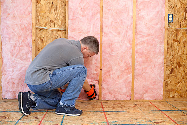 Best Garage Insulation  in Pocatello, ID